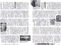[Weekly Playboy] 2017 No.06 (AKB48 本郷杏奈 芳根京子 白石あさえ 水谷果穂 中川知香 小日向結衣 他)