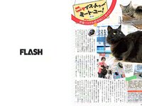 [FLASH] 電子版 2017 No.09.19 (渡辺麻友 永井すみれ 佐藤美希 脊山麻理子 桐谷まつり 他)