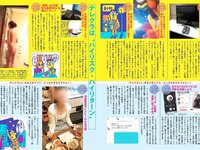 [FLASH] 電子版 2017 No.02.14 (佐藤寛子 平嶋夏海 有村架純 河合奈保子 向井地美音 池田ゆり 他)