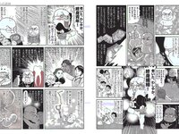[FLASH] 電子版 2017 No.02.14 (佐藤寛子 平嶋夏海 有村架純 河合奈保子 向井地美音 池田ゆり 他)