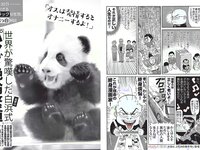 [FLASH] 電子版 2017 No.02.14 (佐藤寛子 平嶋夏海 有村架純 河合奈保子 向井地美音 池田ゆり 他)