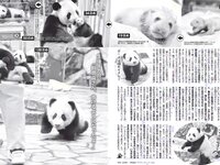 [FLASH] 電子版 2017 No.02.14 (佐藤寛子 平嶋夏海 有村架純 河合奈保子 向井地美音 池田ゆり 他)
