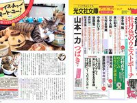 [FLASH] 電子版 2017 No.09.26 (山地まり 浅川梨奈 水原希子 木﨑ゆりあ 花井美理 他)