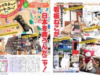 [FLASH] 電子版 2018 No.05.01 (大原優乃 藤木由貴 関水渚 天木じゅん 他)