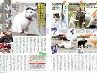 [FLASH] 電子版 2018 No.03.13 (新川優愛 真野恵里菜 最上もが RaMu 岡田紗佳 倉田瑠夏 他)
