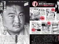 [FLASH] 電子版 2018 No.07.17 (田中道子 天木じゅん 岩本和子 古畑奈和 出口亜梨沙 他)