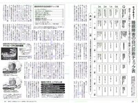 [Weekly Playboy] 2018 No.10 (伊藤万理華 鈴木友菜 石田安奈 本郷杏奈 桃月なしこ 小宮有紗 葵つかさ イ･ヨンファ 他)