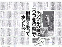 [Weekly Playboy] 2018 No.10 (伊藤万理華 鈴木友菜 石田安奈 本郷杏奈 桃月なしこ 小宮有紗 葵つかさ イ･ヨンファ 他)
