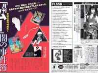 [FLASH] 電子版 2018 No.11.13 (アンジェラ芽衣 桃月なしこ 永尾まりや 林ゆめ 天木じゅん 他)