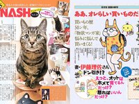 [FLASH] 電子版 2018 No.11.13 (アンジェラ芽衣 桃月なしこ 永尾まりや 林ゆめ 天木じゅん 他)