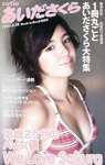 [Weekly Playboy Magazine] 2009 No.34-35 杉本有美,川村ゆきえ,スザンヌ,AKB48,柏木由紀,宮澤佐江,あいださくら[41P]