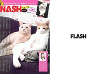 [FLASH] 電子版 2018 No.07.10 (筧美和子 澤北るな 真島なおみ 森咲智美 武田梨奈 竹内渉 朝比奈祐未 他)