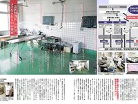 [FLASH] 電子版 2018 No.01.30 (朝比奈彩 齋藤飛鳥 飯豊まりえ 天木じゅん 都丸紗也華 他)