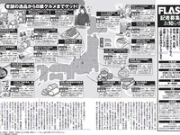 [FLASH] 電子版 2017 No.02.21 (葉加瀬マイ 白石麻衣 久松郁実 月城まゆ 他)
