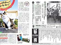 [FLASH] 電子版 2017 No.02.21 (葉加瀬マイ 白石麻衣 久松郁実 月城まゆ 他)