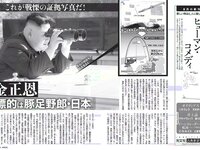 [FLASH] 電子版 2017 No.09.05 (松井珠理奈 わちみなみ 板野友美 佐藤晴美 他)