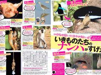 [FLASH] 電子版 2017 No.09.05 (松井珠理奈 わちみなみ 板野友美 佐藤晴美 他)