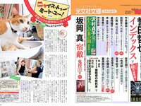 [FLASH] 電子版 2017 No.09.05 (松井珠理奈 わちみなみ 板野友美 佐藤晴美 他)