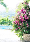 【竹書房】三上悠亞 写真集 「らぶぱら」   [102P]