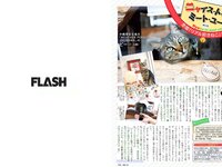 [FLASH] 電子版 2018 No.02.27 (岡田奈々 わちみなみ 柏木由紀 北原里英 鈴木友菜 吉川愛 小田飛鳥 美馬怜子 他)