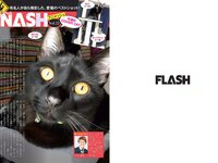 [FLASH] 電子版 2018 No.11.27 (川崎あや 華村あすか 梅田彩佳 園都 他)