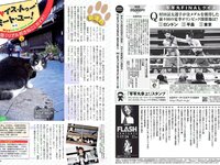 [FLASH] 電子版 2017 No.01.17-24 (佐藤寛子 朝比奈彩 塩地美澄 久松郁実 永尾まりや 他)
