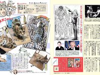 [FLASH] 電子版 2017 No.01.03 (土屋太鳳 佐々木希 柳瀬早紀 高田秋 川崎あや 他)