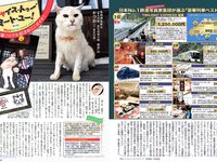[FLASH] 電子版 2017 No.07.11 (久松郁実 園都 浅川梨奈 他)