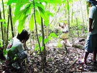 [Graphis] Kyoko Nakajima 中島 京子 (Graphis in PALAU) 『 Paradise 』