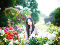 Bambi (밤비) - Lacerta Photography