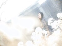 Bambi (밤비) - Lacerta Photography
