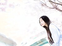 Bambi (밤비) - Lacerta Photography