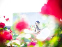 Bambi (밤비) - Lacerta Photography