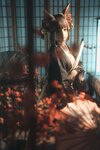 [COSPLAY] 蠢沫沫 小赤城