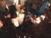 [COSPLAY] 蠢沫沫 小赤城