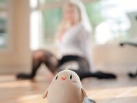 [COSPLAY] 轩萧学姐 怨仇