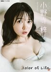 小野寺梓「Color of Life」 BUBKAデジタル写真集(2023.02.16)