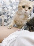 Panidsara from Onlyfans Leak 4000+ Photos!