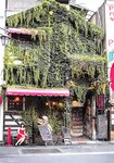 【青山裕企】松村香织写真集