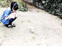 【青山裕企】すずかのアオいハル