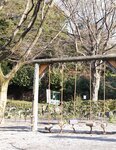 【青山裕企】公园少女