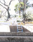 【青山裕企】公园少女