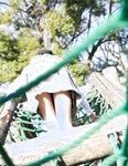 【青山裕企】公园少女