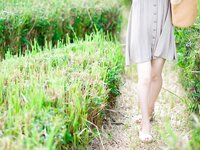 【青山裕企】ふともも写真館