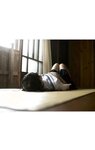 【青山裕企】夏の純真