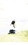 【青山裕企】夏の純真