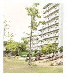 【青山裕企】青山裕企♡妹妹