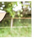 【青山裕企】青山裕企♡妹妹