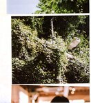 【青山裕企】青山裕企♡妹妹