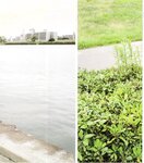 【青山裕企】青山裕企♡妹妹